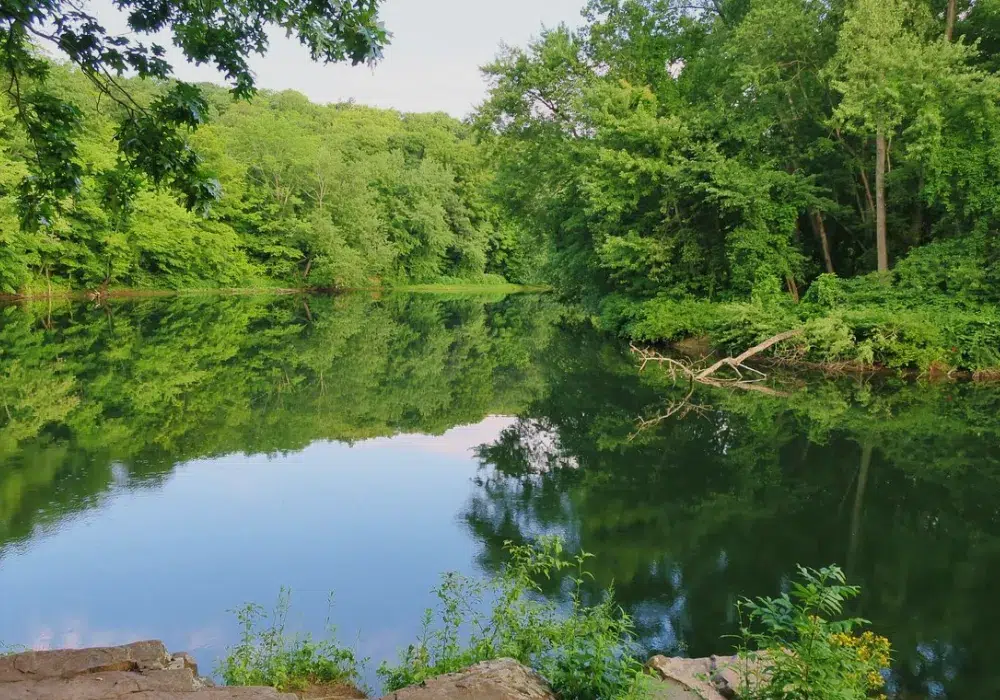 Robinson State Park